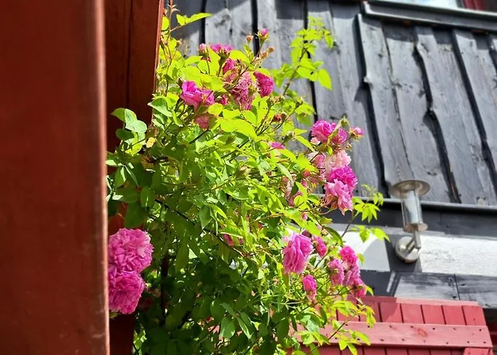 Twoj Drugi Dom Na Kaszubach Prázdninový dům Zalakowo